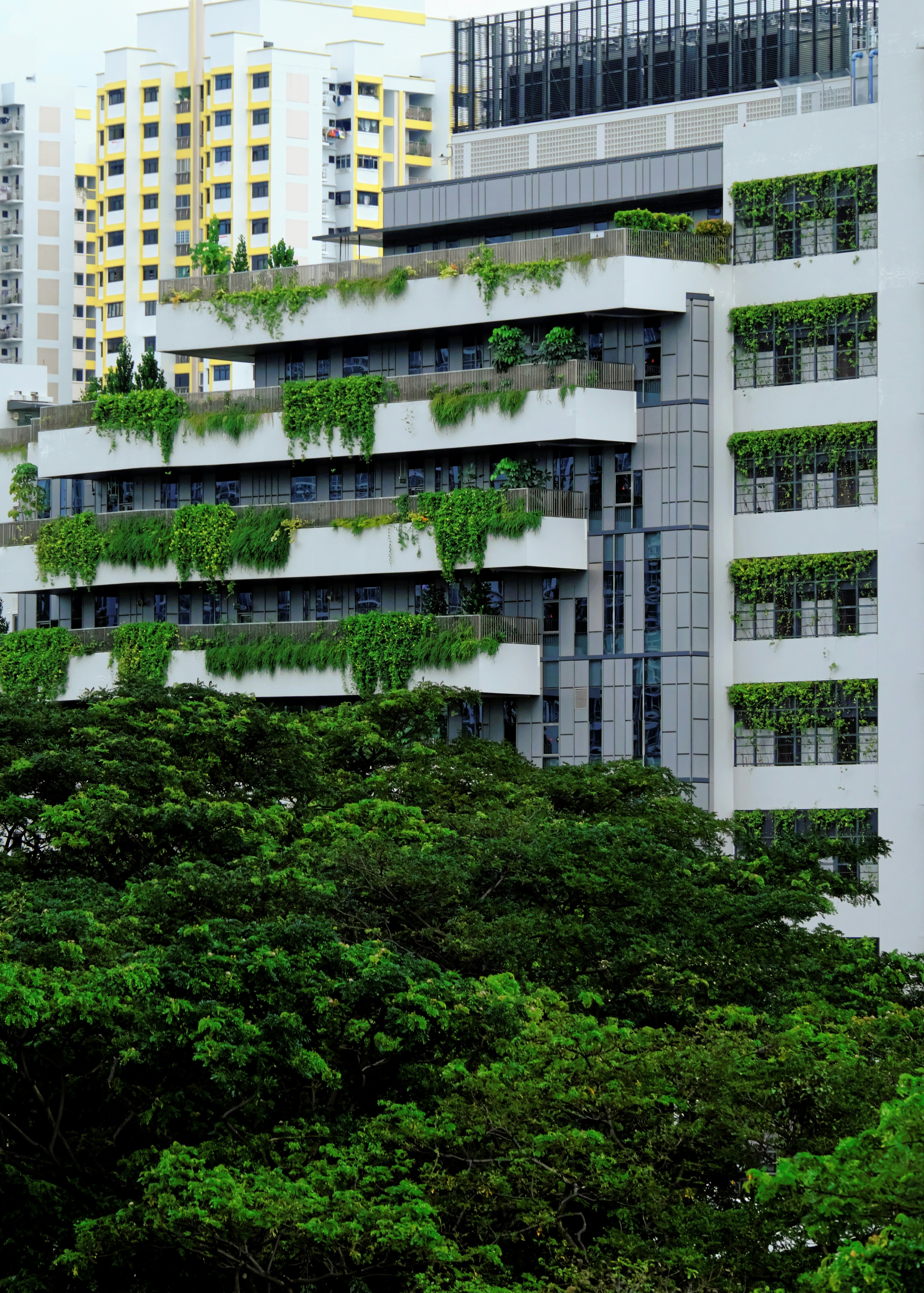Sustainability